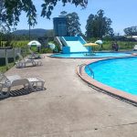 sedecampestre_pisicna