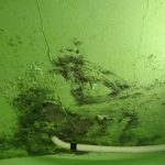 sindicatoitinerante_15_09_2021_4